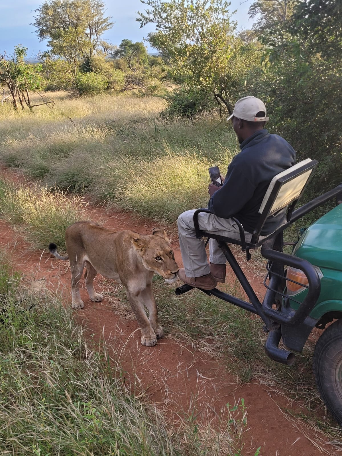 South African Safari- Booking Call