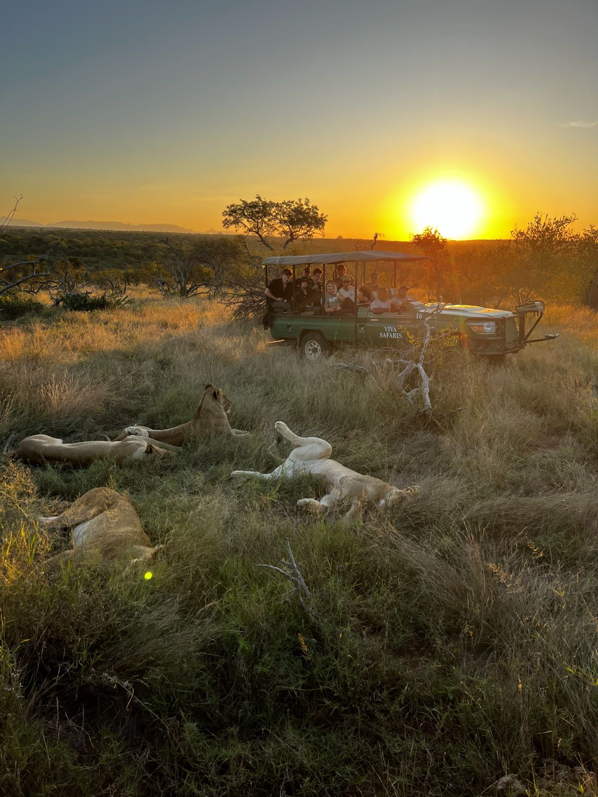 South African Safari- Booking Call