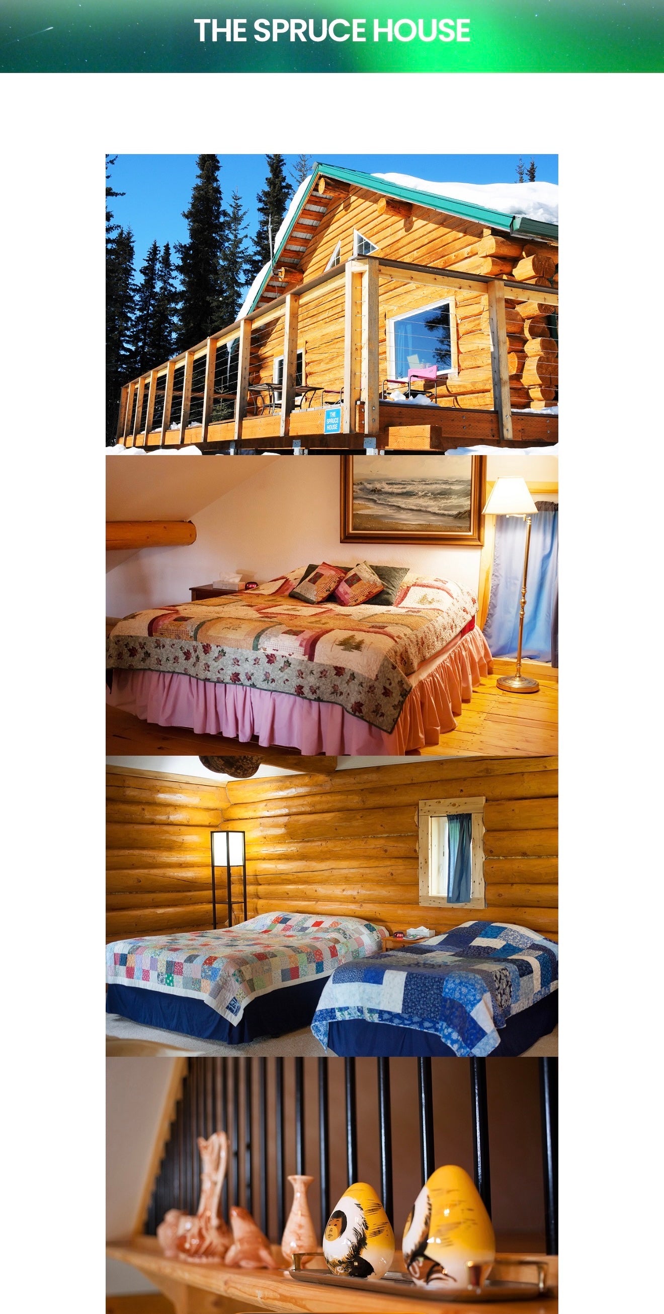 Alaska Winter Northern Lights Experience- Booking Call