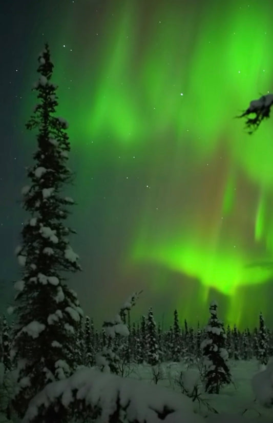 Alaska Winter Northern Lights Experience- Booking Call