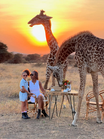 Serengeti Safari & Zanzibar Island Experience- Booking Call