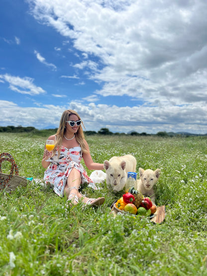 Serengeti Safari & Zanzibar Island Experience- Booking Call