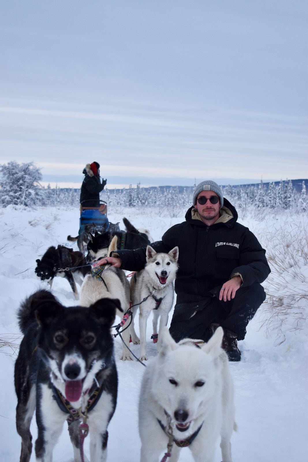 Person with dogsled team in a snowy landscape