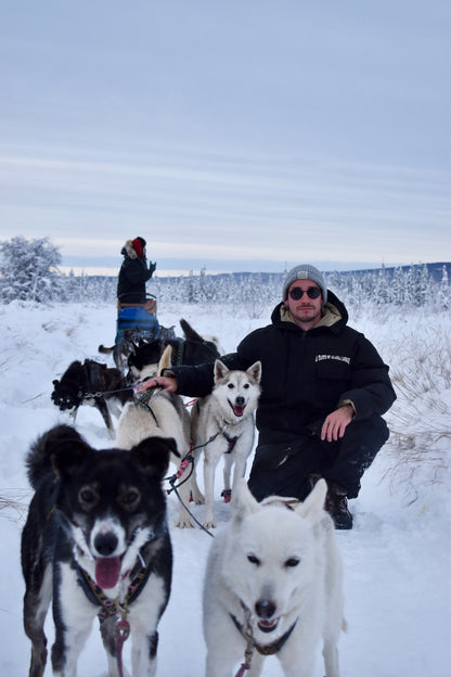 Person with dogsled team in a snowy landscape