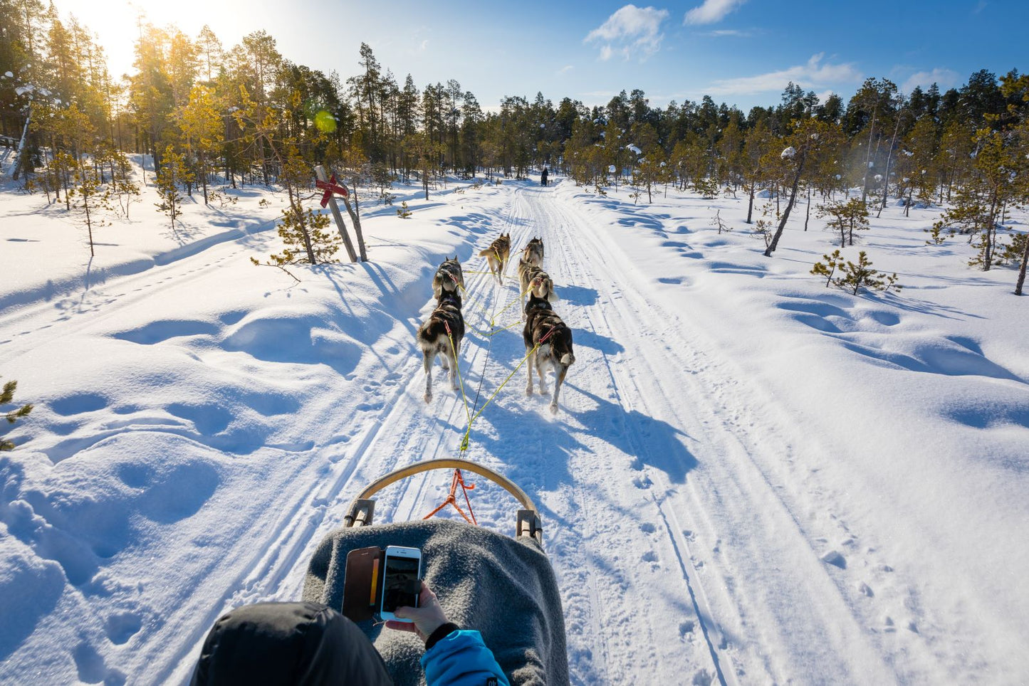 Finland Winter Northern Lights Experience