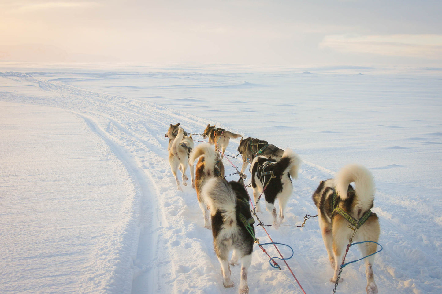 Iceland Winter Northern Lights Experience