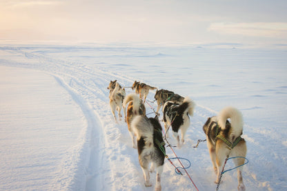 Iceland Winter Northern Lights Experience