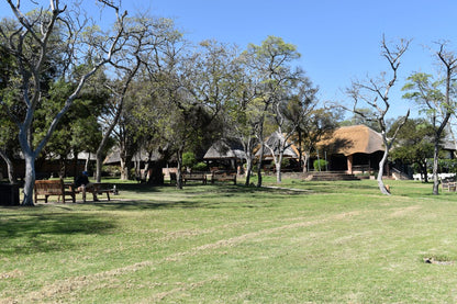 Zimbabwe African Safari & Wildlife Encounters