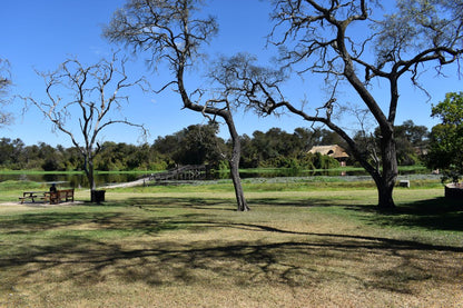 Zimbabwe African Safari & Wildlife Encounters