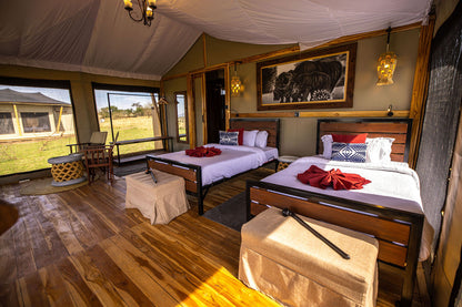 Serengeti Safari & Zanzibar Island Experience- Booking Call