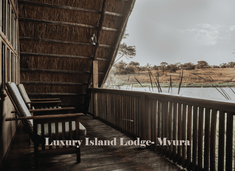 Zimbabwe African Safari & Wildlife Encounters