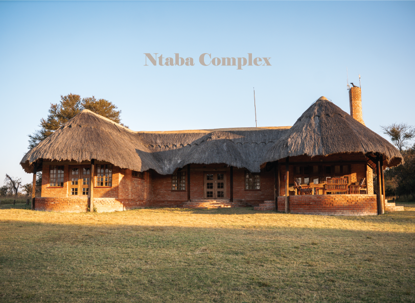 Zimbabwe African Safari & Wildlife Encounters