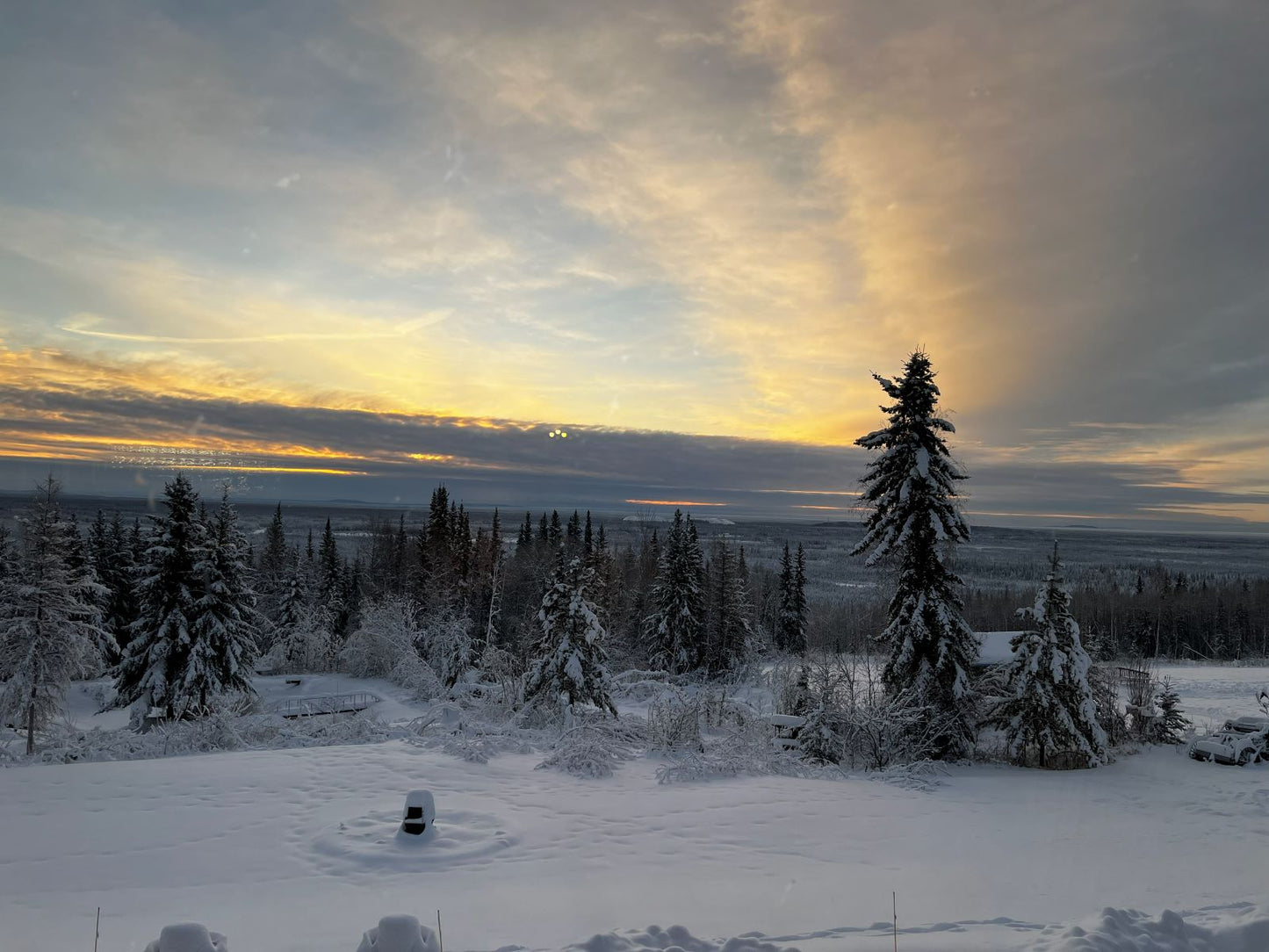 Snowy landscape with trees and a sunset sky