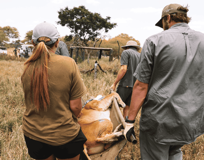 Zimbabwe African Safari & Wildlife Encounters