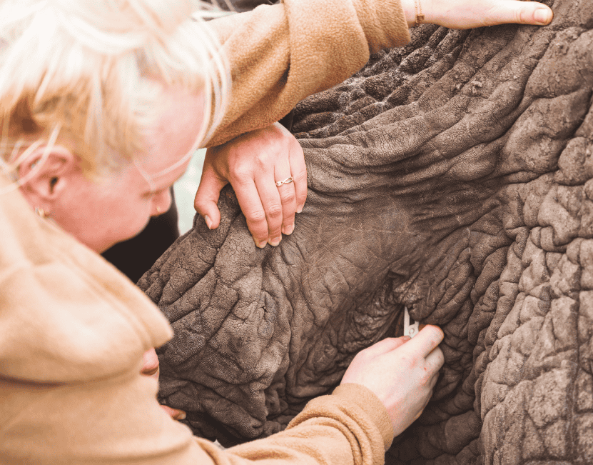 Zimbabwe African Safari & Wildlife Encounters