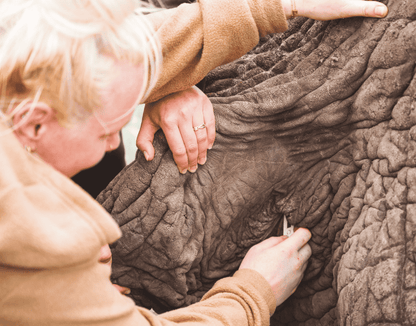 Zimbabwe African Safari & Wildlife Encounters