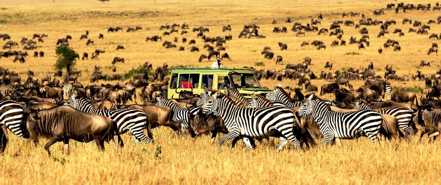 Serengeti Safari & Zanzibar Island Experience- Booking Call