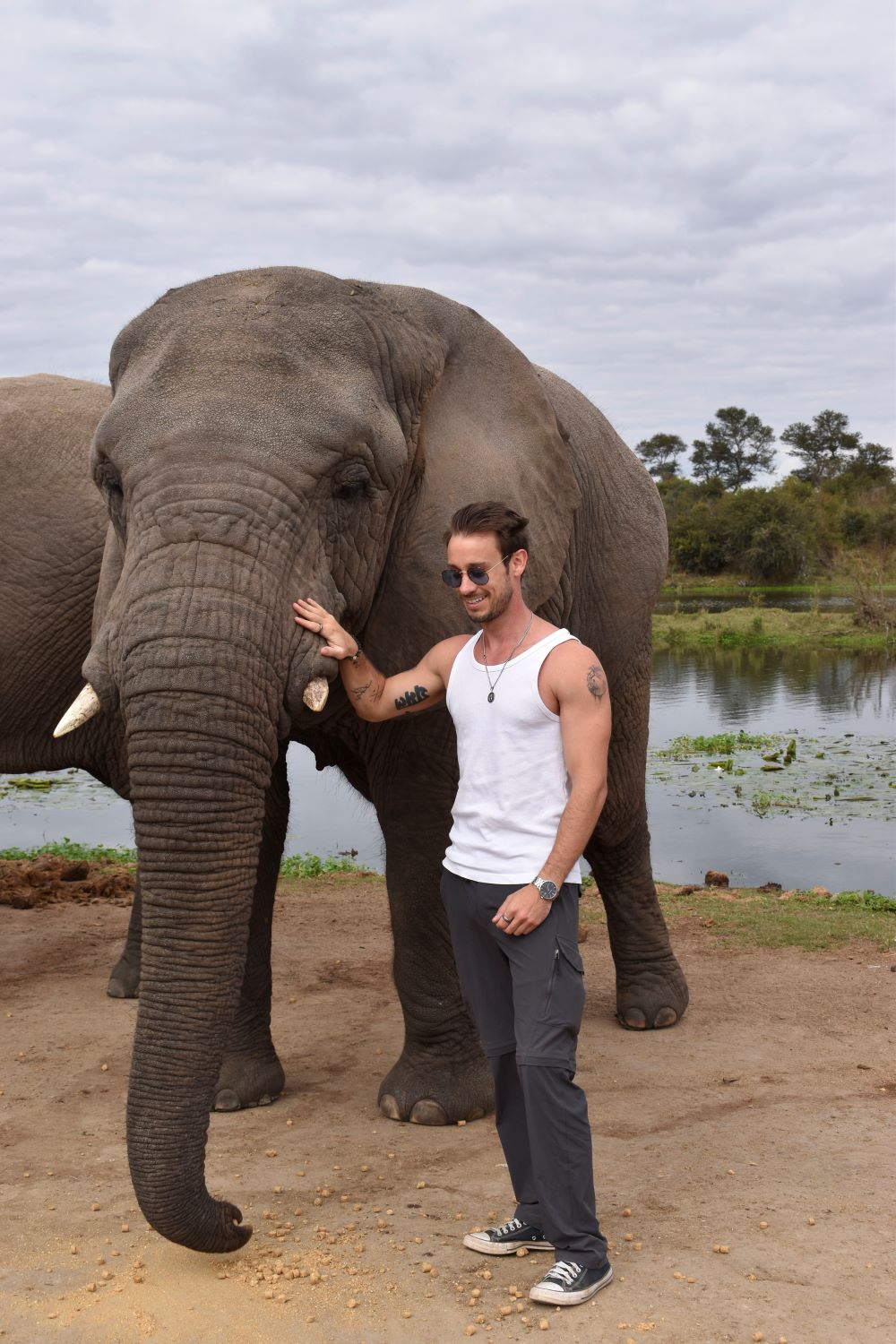 Zimbabwe African Safari & Wildlife Encounters
