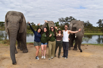Zimbabwe African Safari & Wildlife Encounters