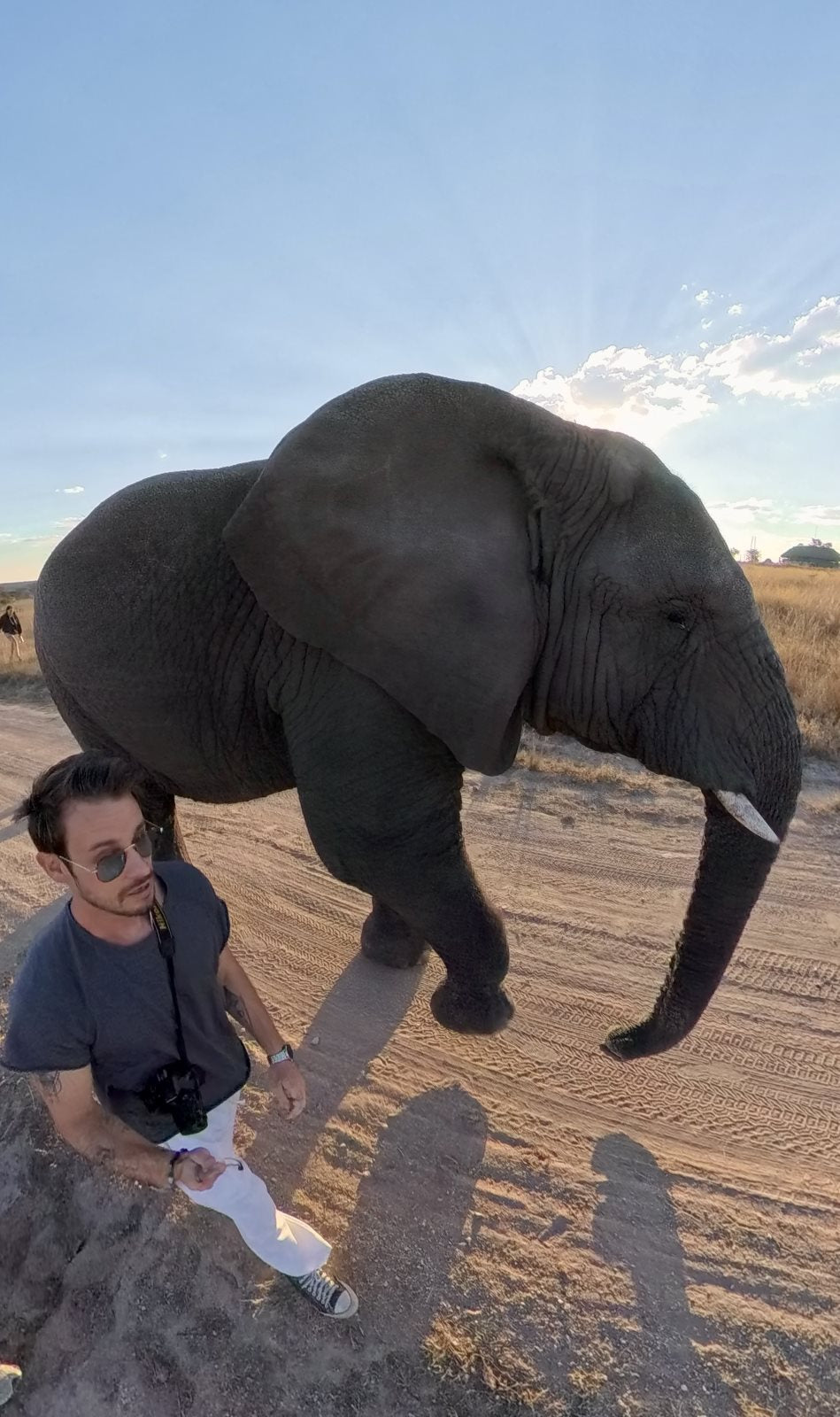 Zimbabwe African Safari & Wildlife Encounters