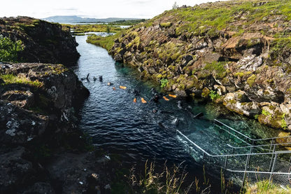 Iceland Winter Northern Lights Experience