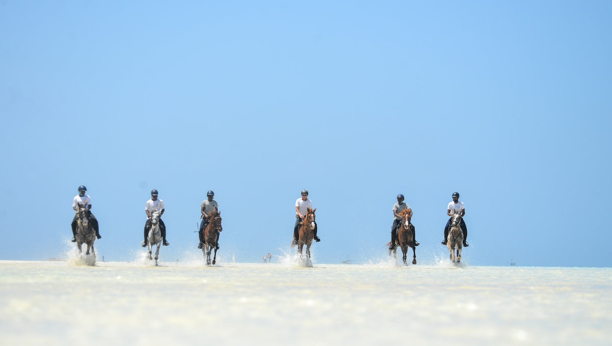 Serengeti Safari & Zanzibar Island Experience- Booking Call