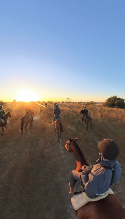Zimbabwe African Safari & Wildlife Encounters