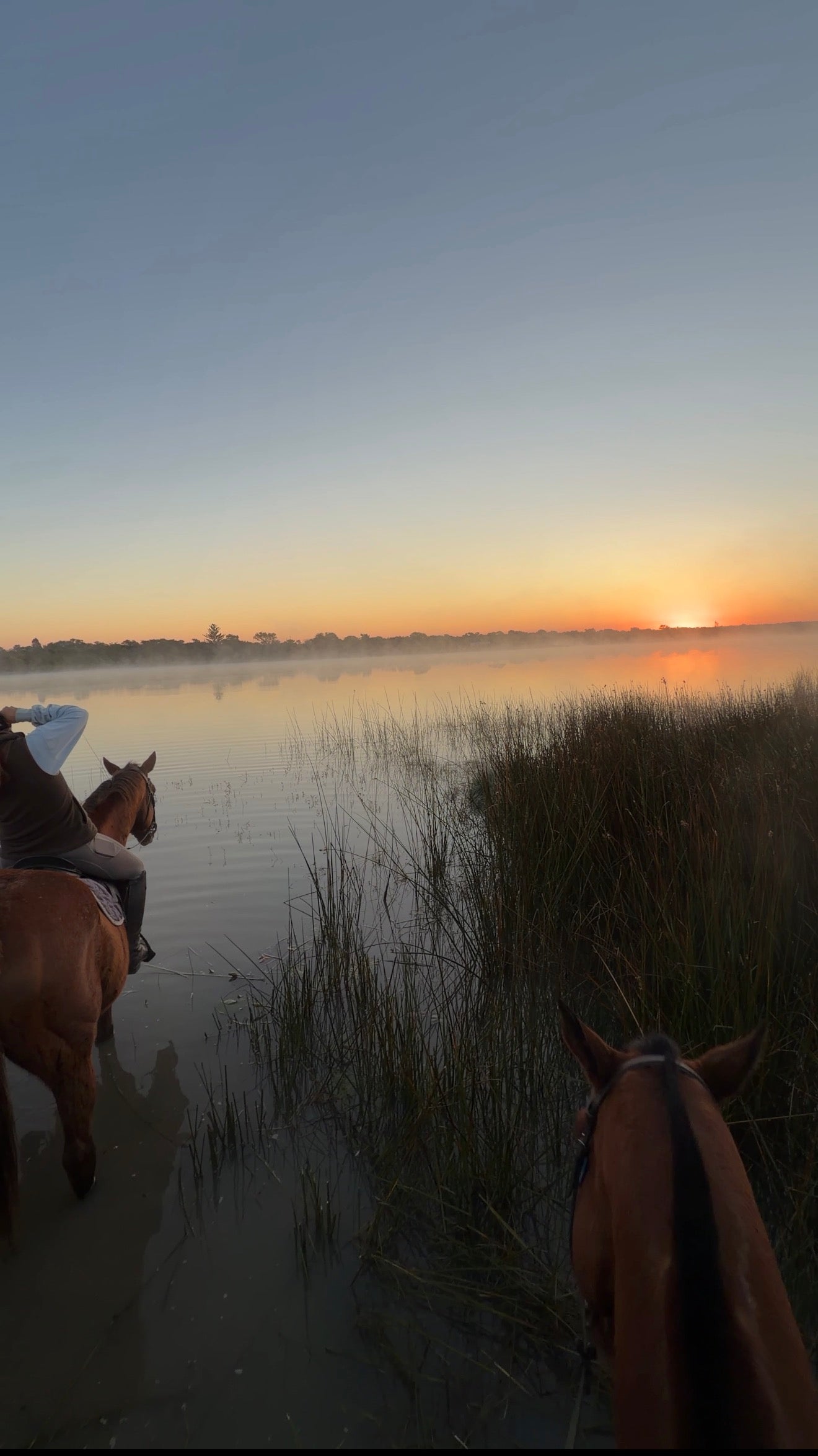 Zimbabwe African Safari & Wildlife Encounters