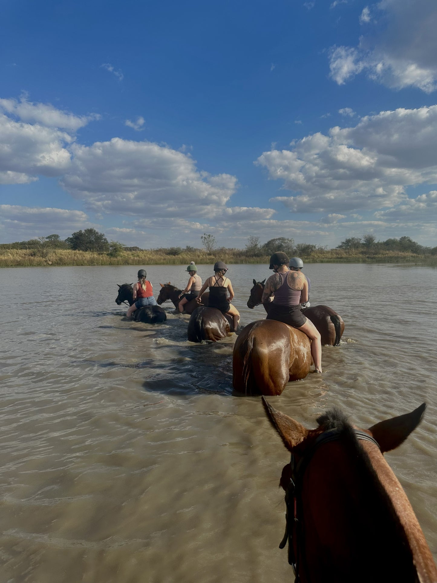 Zimbabwe African Safari & Wildlife Encounters