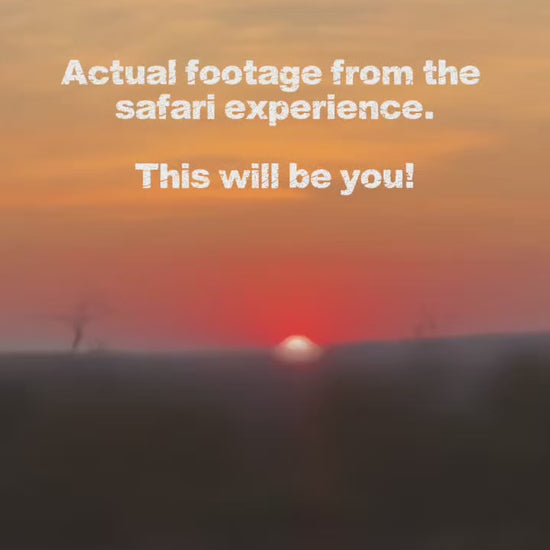 south african safari video