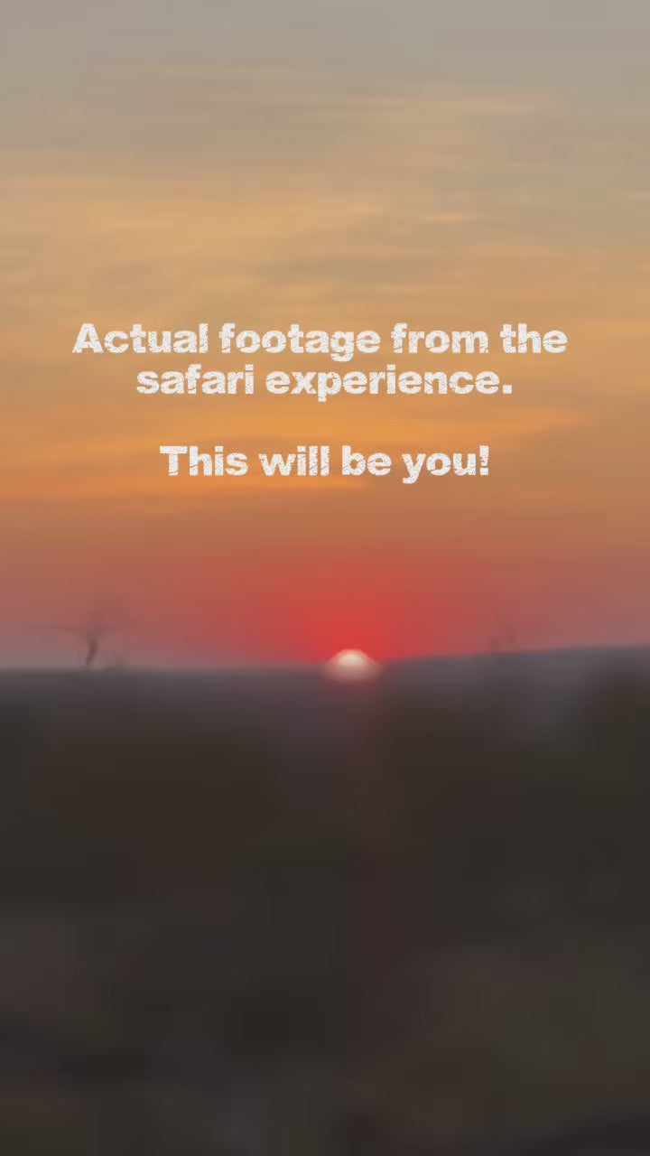 south african safari video