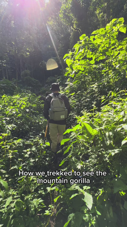 Gorilla Trekking- Booking Call