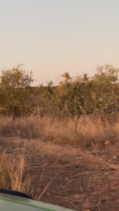 South African Safari- Booking Call